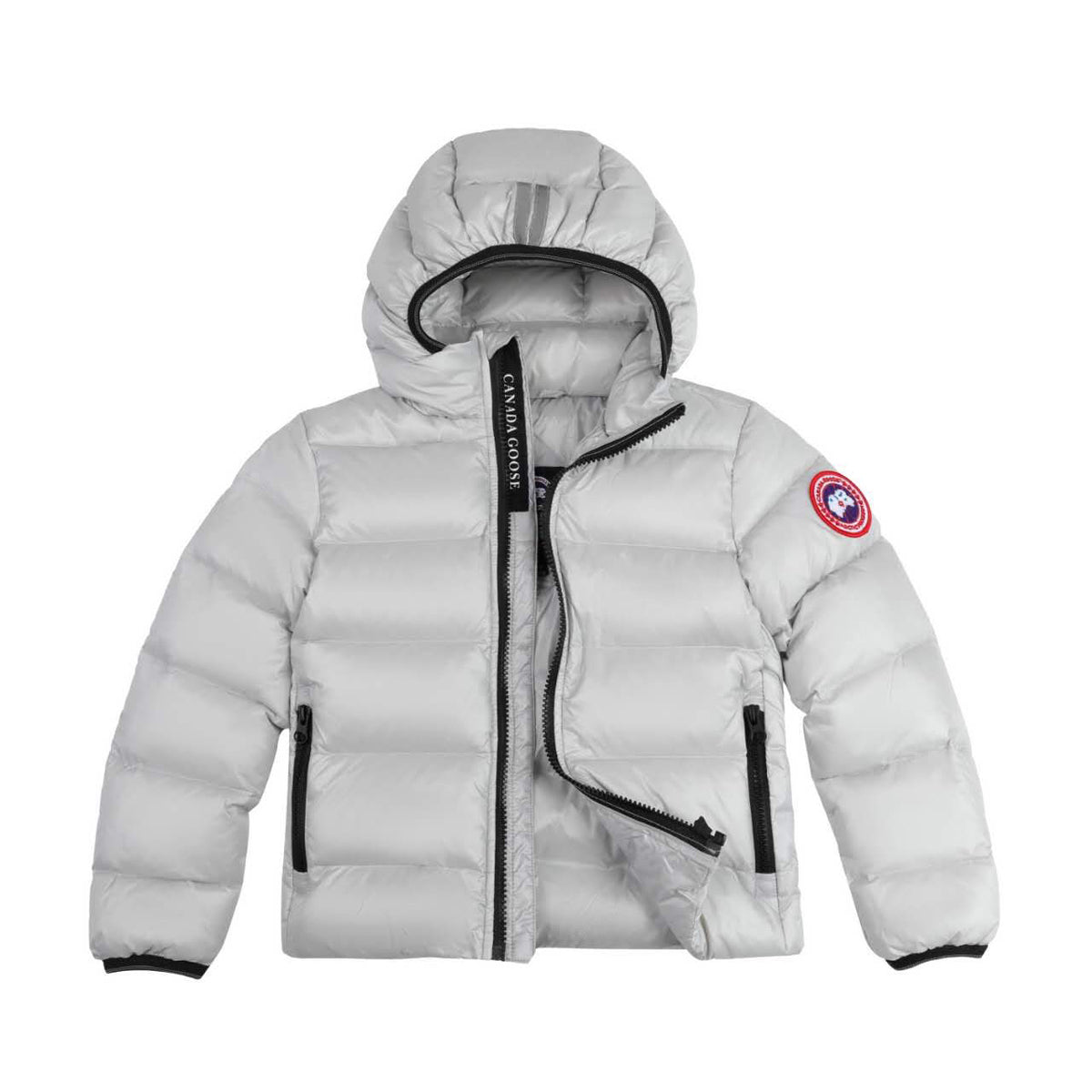 Canada goose